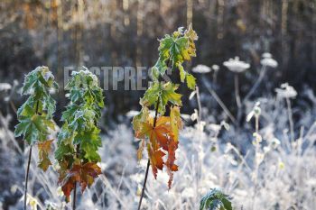 EA344719, Eastpress, Porvoo, Finland